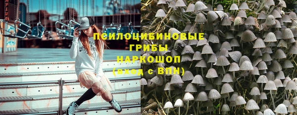 таблы Алексин