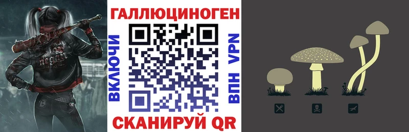Псилоцибиновые грибы прущие грибы  omg вход  даркнет Telegram  что такое   Тогучин 
